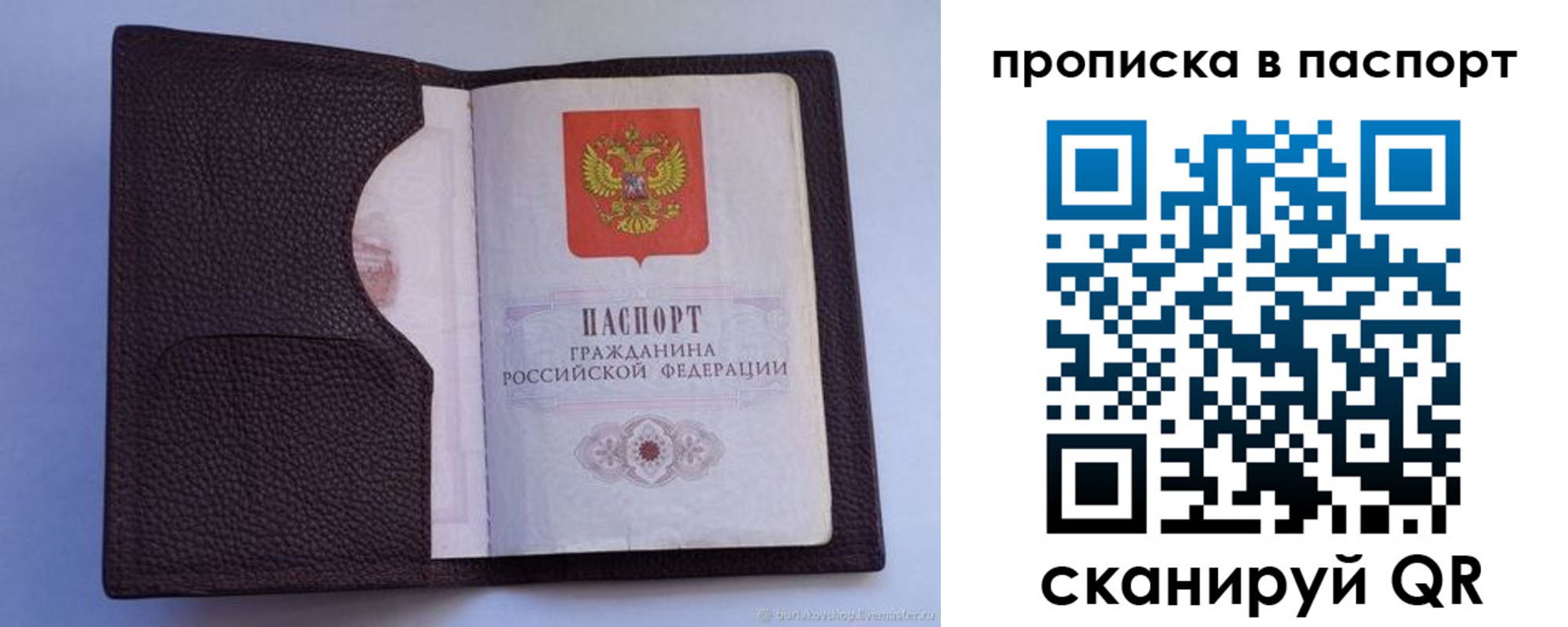 прописка законно в Курганской области